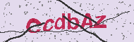 Ungültiger Sicherheitscode