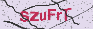 Ungültiger Sicherheitscode