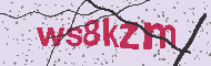 Ungültiger Sicherheitscode